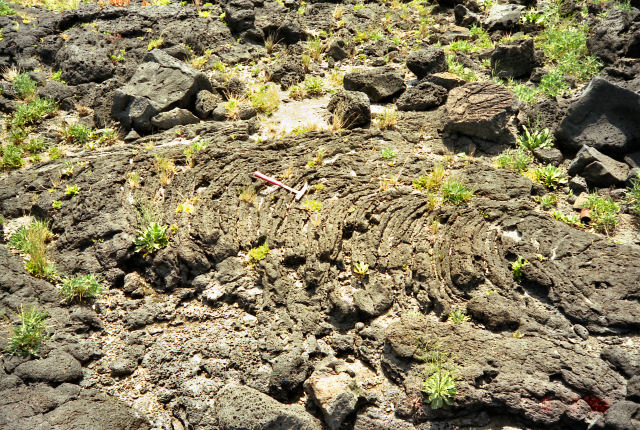縄状溶岩(ropy lava, corded lava)