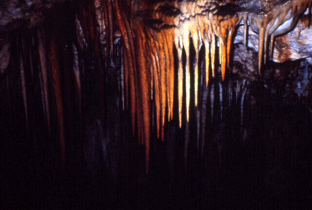 鍾乳石(stalactite)