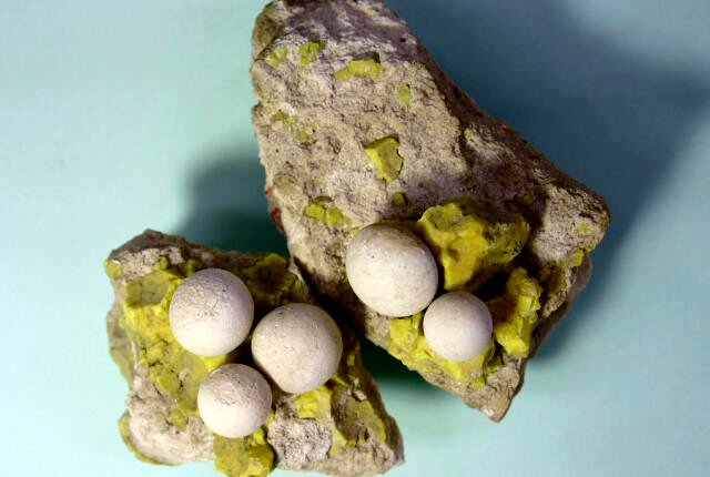 球顆状シリカ鉱物(spherulitic silica mineral)