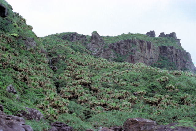 中新統魚釣島層からなる急崖