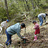 2001年「諸塚村産直住宅・交流の森づくり」参加
