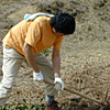 2001年「諸塚村産直住宅・交流の森づくり」参加