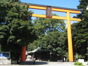 The tall torii gate