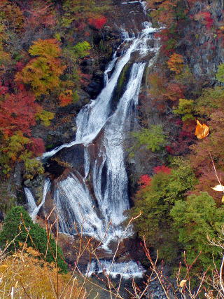紅葉の霧降の滝　下滝