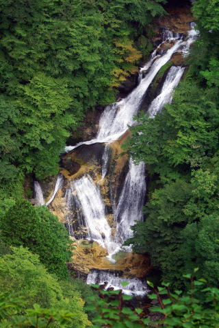 緑葉の霧降の滝　下滝